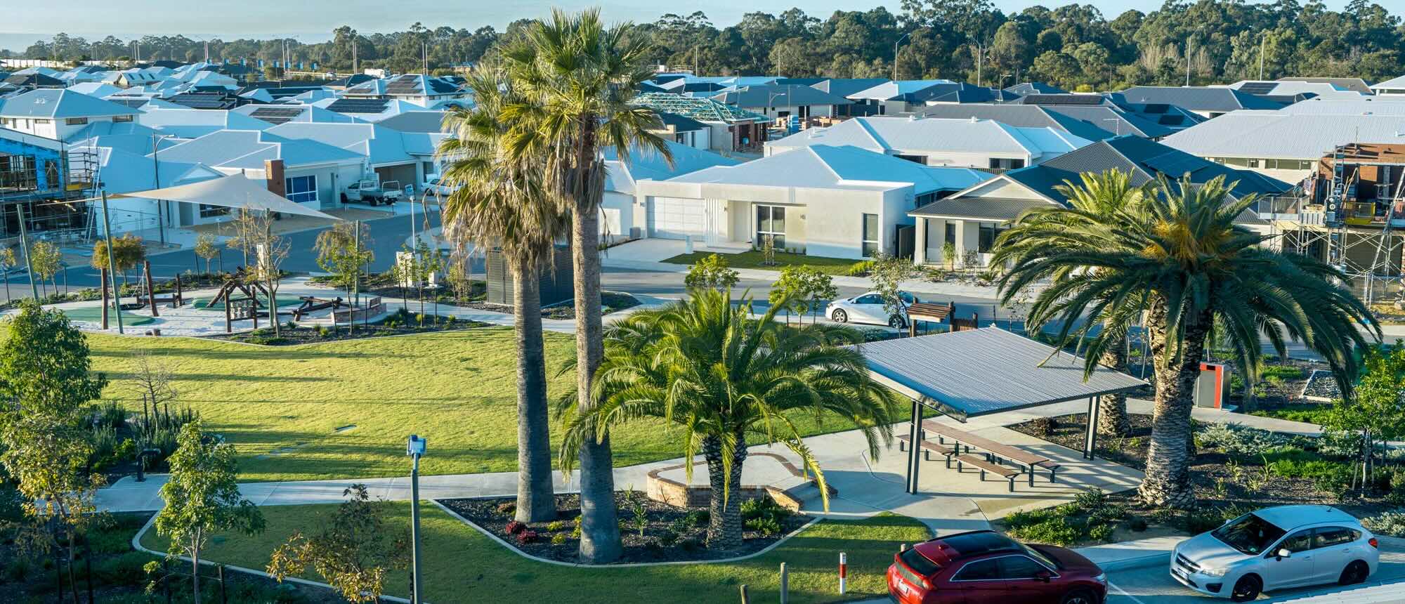 lake treeby neighbourhood park relocated mature palm trees playground