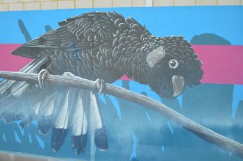 lake treeby public art brenton see mural female carnaby cockatoo detail 1000x662