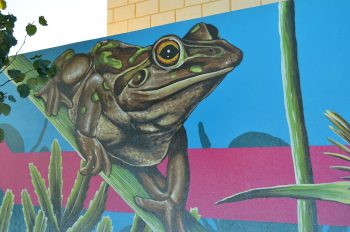 lake treeby public art brenton see mural motorbike frog detail